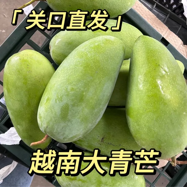 正宗越南大青芒新鲜芒果脆芒果进口食用生熟青芒果两吃生脆青芒果