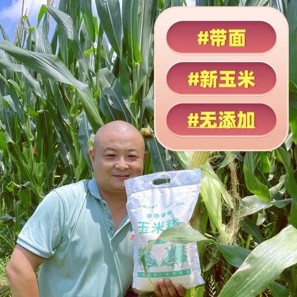 【六哥仓库直发】2025年新玉米糁半糁半面熬粥粘香好喝三斤五斤包邮