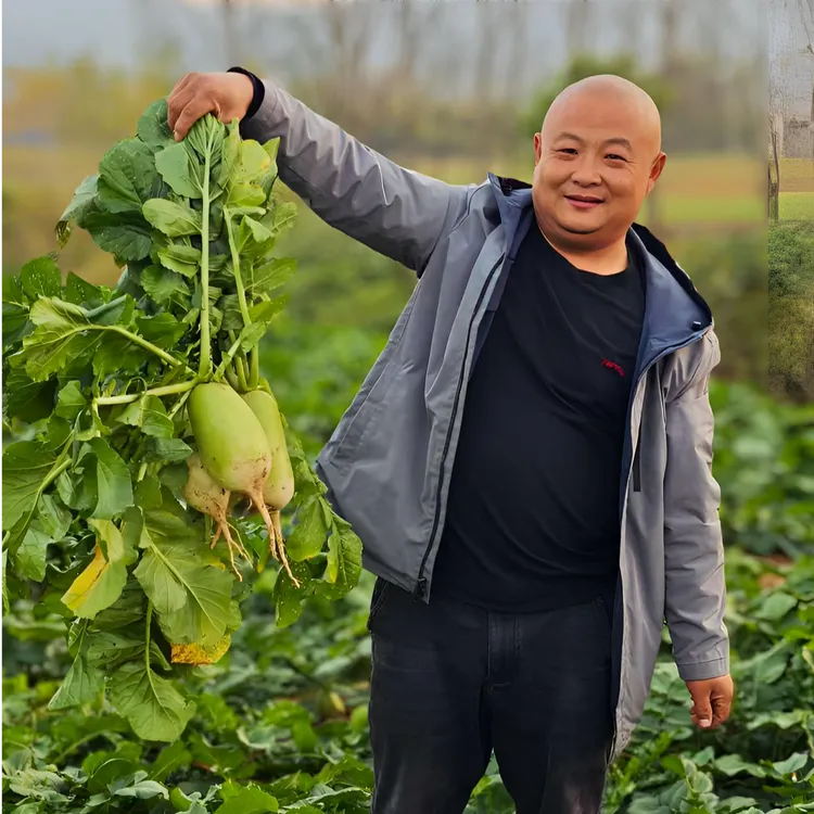 农家青皮萝卜甜中带辣酥脆可口炒菜包饺子煲汤凉拌炸丸子好吃带劲