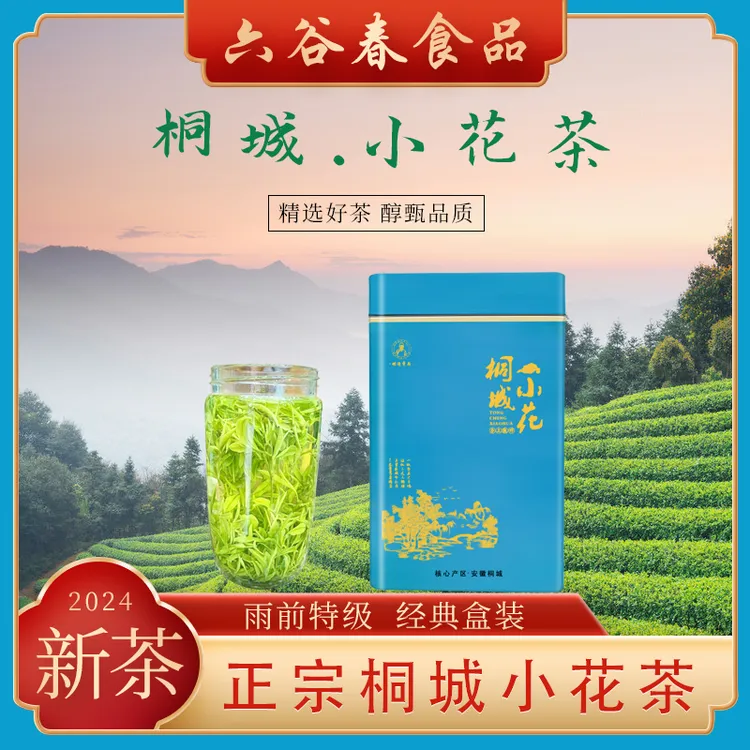桐城小花25年安徽安庆茶农直销罐装甘甜绿茶浓香型茶品质手工