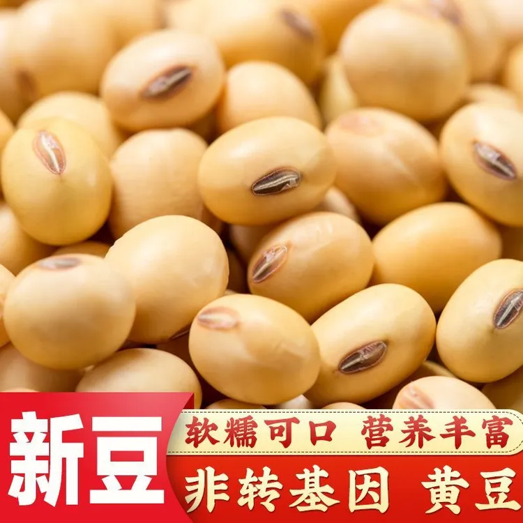【热卖中】农家自种黄豆非转基因健康粮打豆浆做豆腐煲汤等等