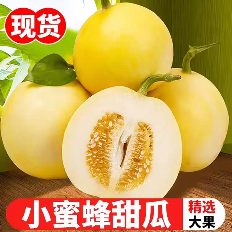 京东直发山东头茬当季蜜罐小甜瓜小蜜蜂星甜20 （3斤/4.5斤）香甜