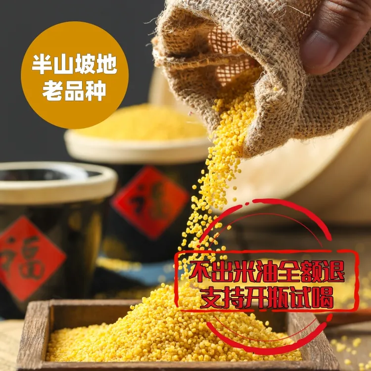 【25年新小米】沂蒙山当季精选正宗黄小米农家种植营养早餐粥月子米