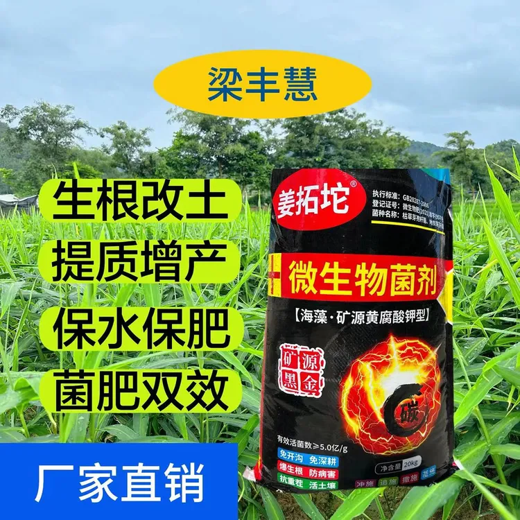 太溪邦姜拓坨生物菌肥生姜底肥追肥微生物菌剂增产生长