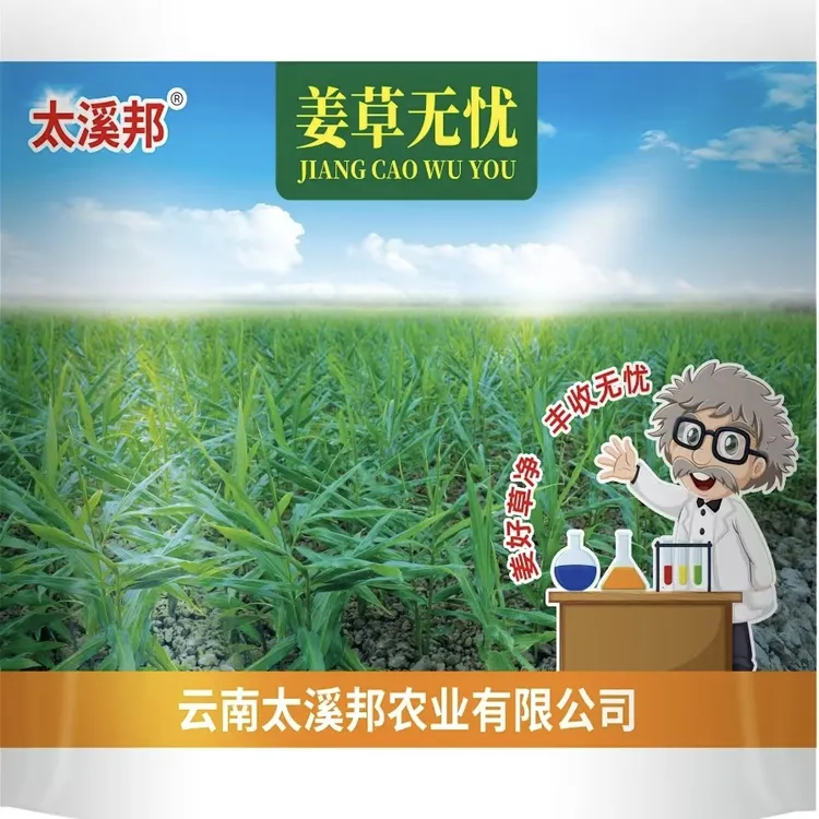 太溪邦姜草无忧，生姜苗后除草剂