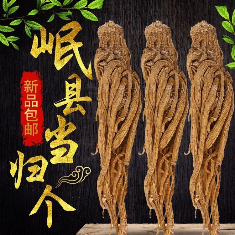 正宗岷县全当归个干货新鲜无硫整条当归材煲汤多规格20g