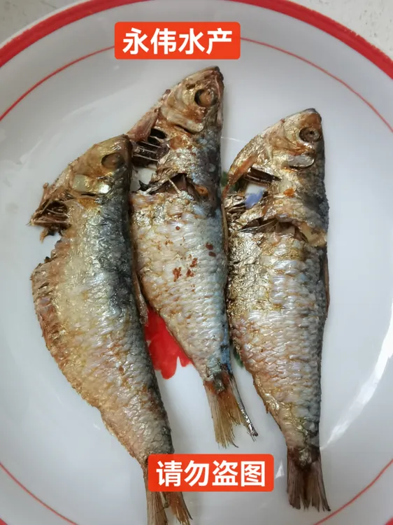 晒得不干偏湿！海捕青鳞鱼、柳叶鱼，油炸油煎烧烤，顺丰京东包邮
