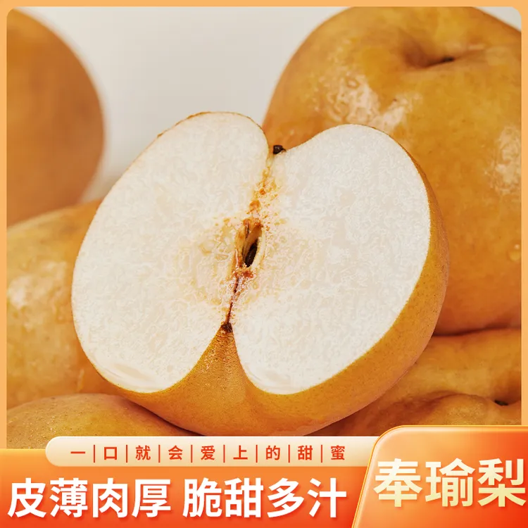 晚熟梨 奉瑜梨大果12个 12斤新鲜香甜皮薄香脆品质爽口口感汁水