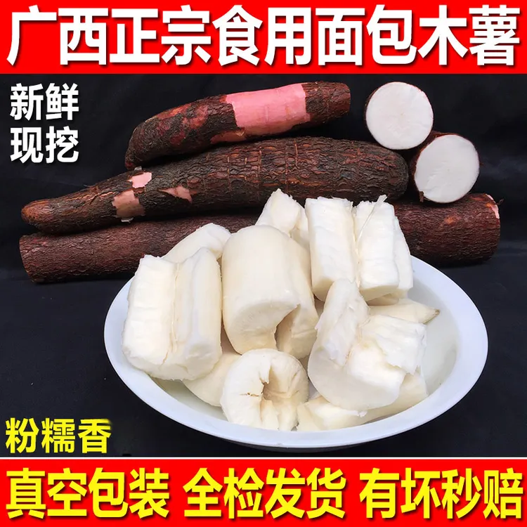 广西新鲜现挖黄肉黄心木薯水果奶茶店糖水羹种白肉板栗面包木薯苗