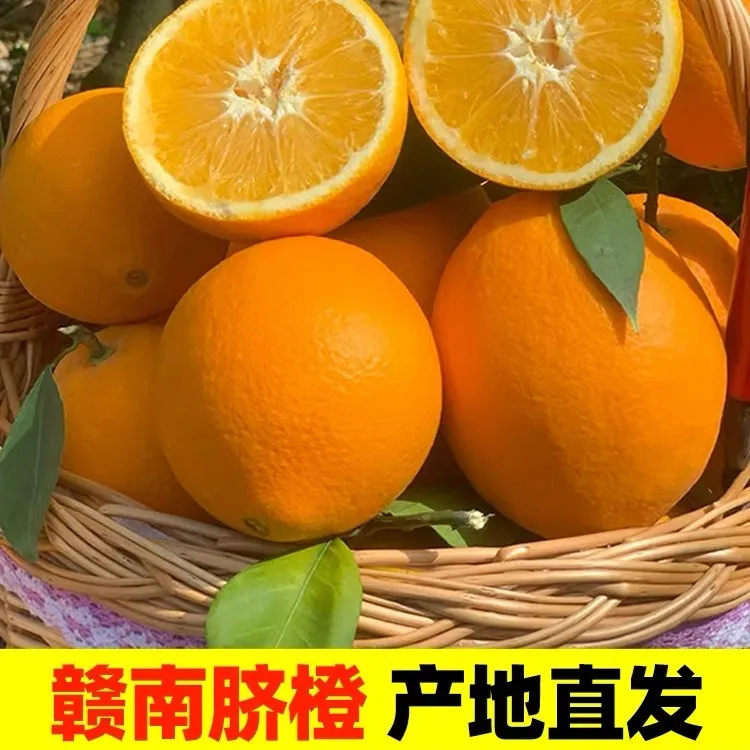 正宗江西赣南脐橙新鲜采摘应季水果产地直发