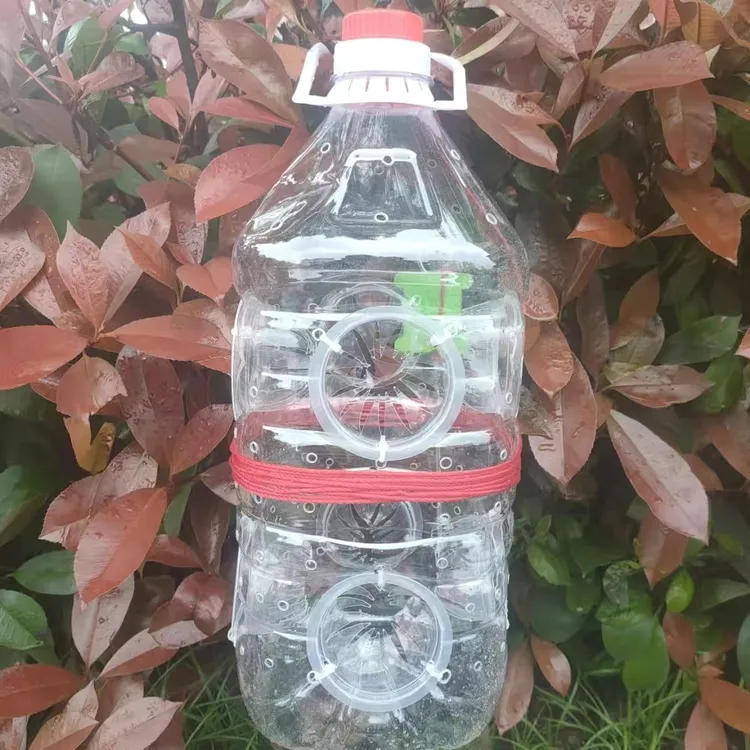 网红透明塑料阵鱼桶抓小鱼小虾白条鳑鲏麦穗的工具包邮