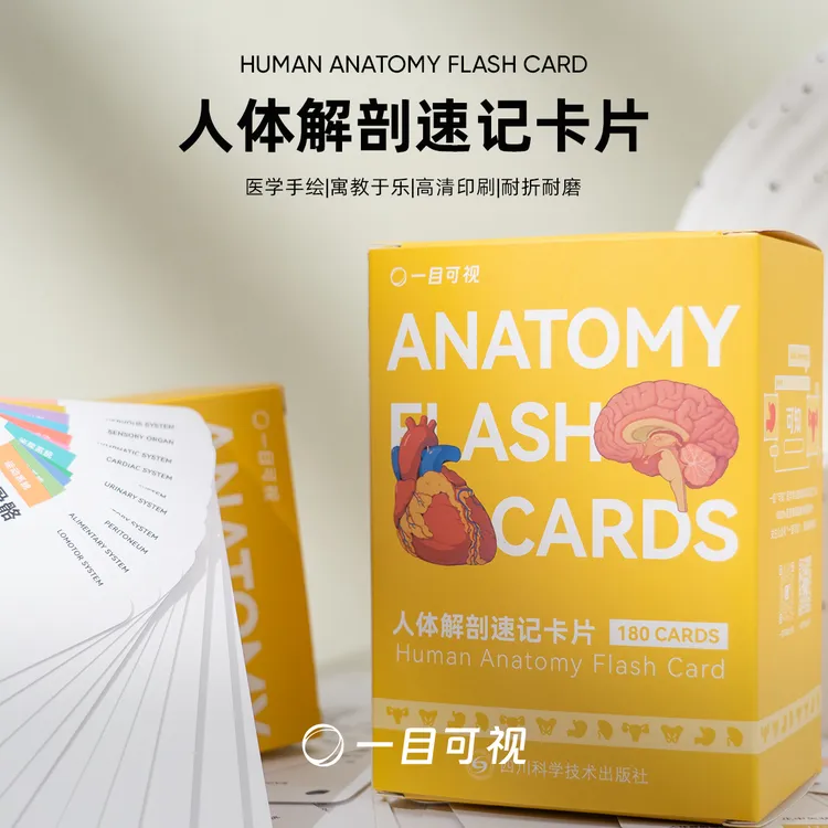 人体解剖速记卡片医学生学习科普好物一目可视超全180张医学手册