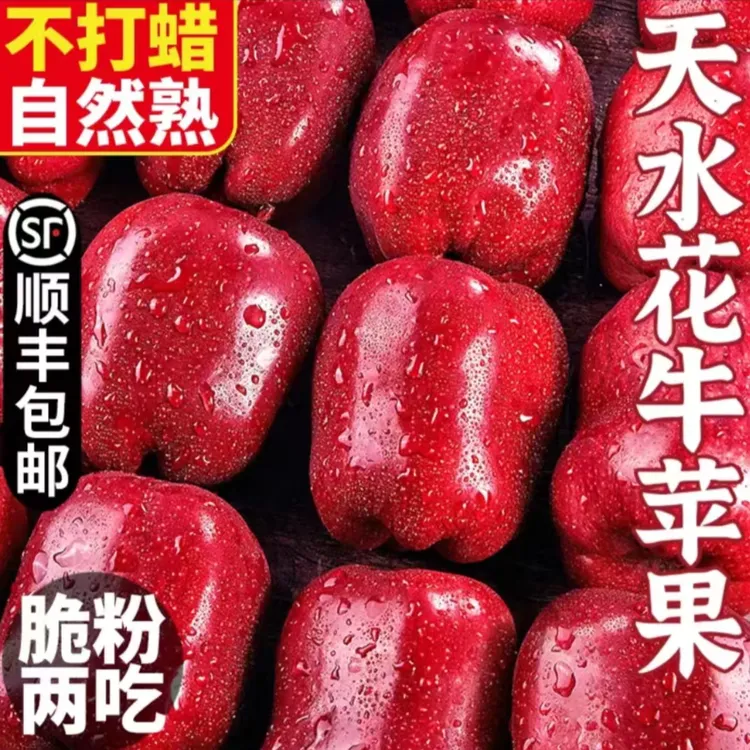 【顺丰包邮】正宗甘肃天水花牛苹果2024年新果现摘现发