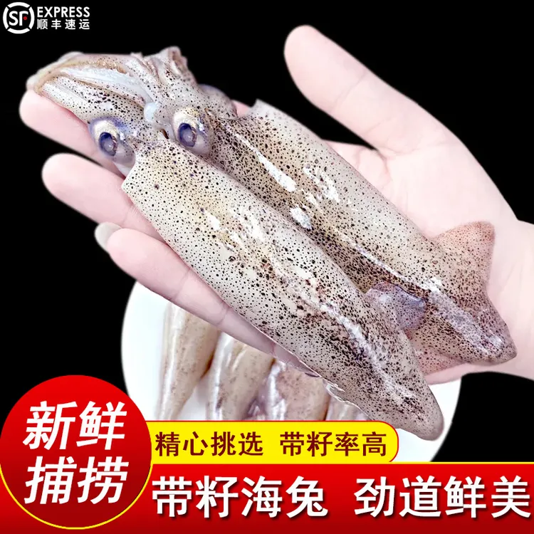 带籽海兔满籽笔管鱼籽乌新鲜冷冻海鲜带膏籽乌墨鱼仔小鱿鱼全籽