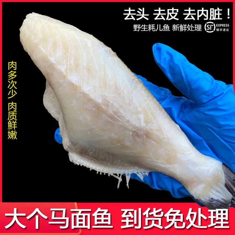 耗儿鱼新鲜剥皮鱼冷冻马面鱼商用大扒皮鱼老鼠鱼火锅食材3斤海鲜