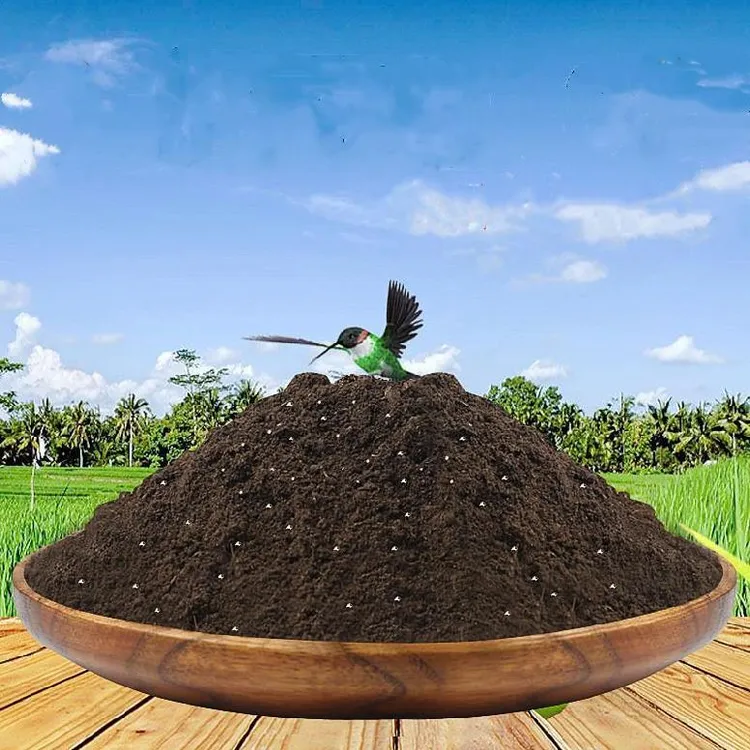 混合型营养土育苗扦插种植多肉泥炭优良土壤绿植养花专用