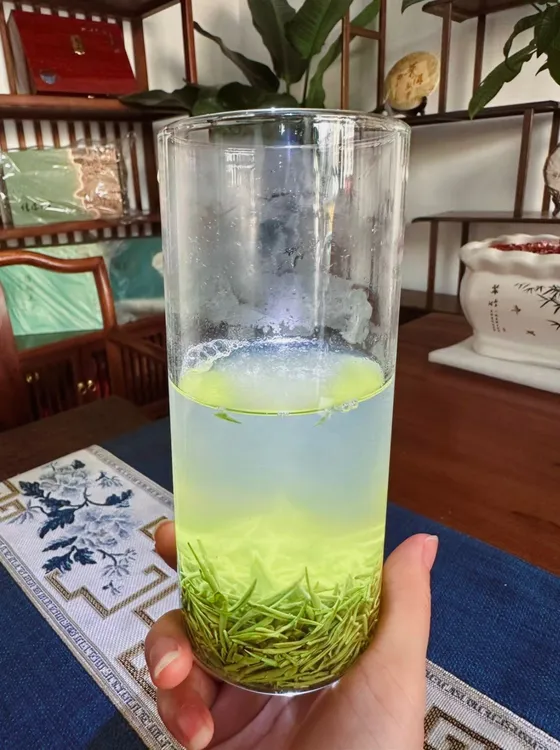 2025雨前中小芽，抓口耐泡，高山绿茶毛尖茶叶298