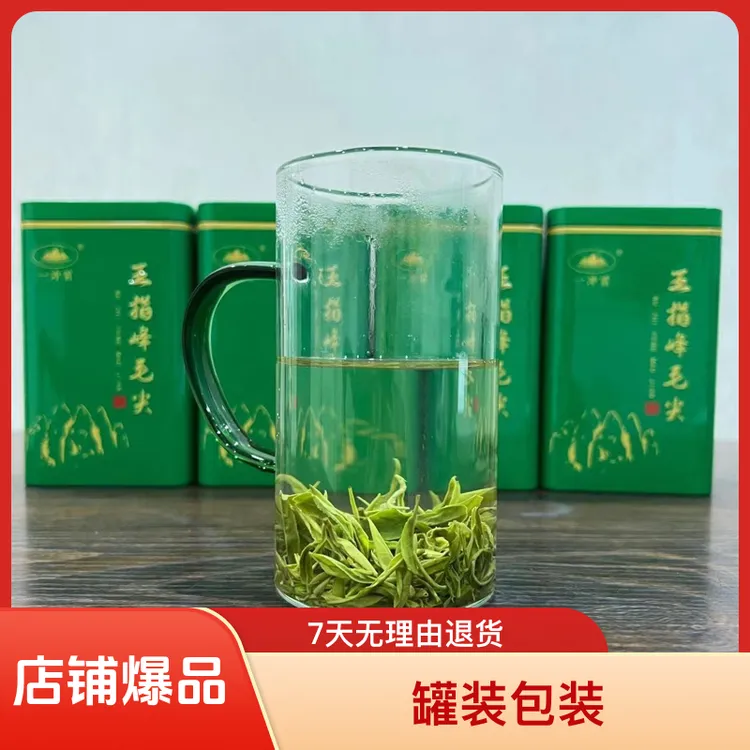 2025新茶上犹毛尖高山茶云雾绿茶春茶【三】五指峰高山茶