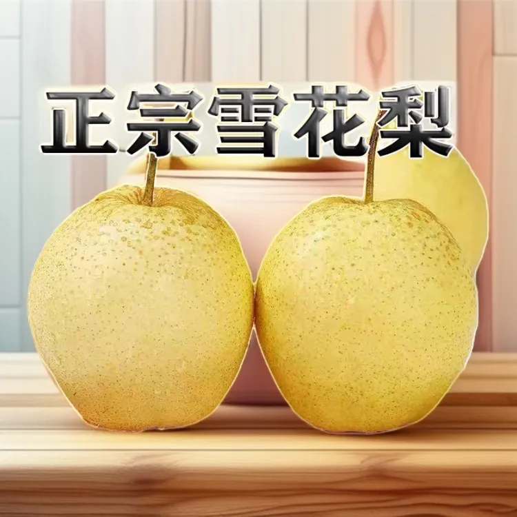 河北雪梨百年古树雪梨3斤5斤9斤带箱冰糖雪梨整箱批发
