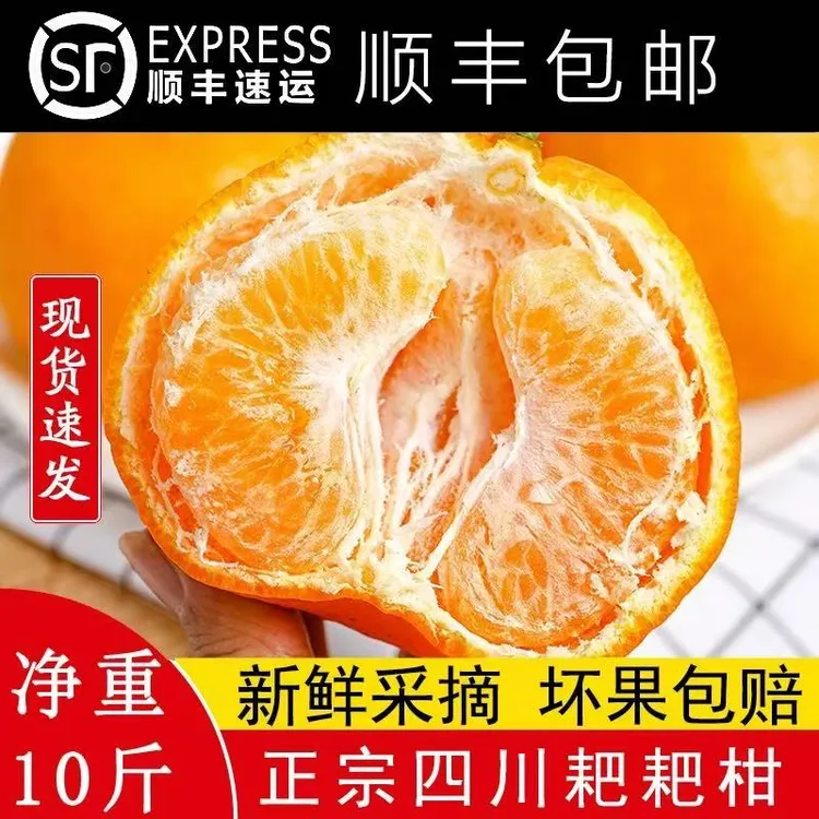 正宗四川春见耙耙柑新鲜孕妇水果橘子香甜多汁农家果园直发顺丰