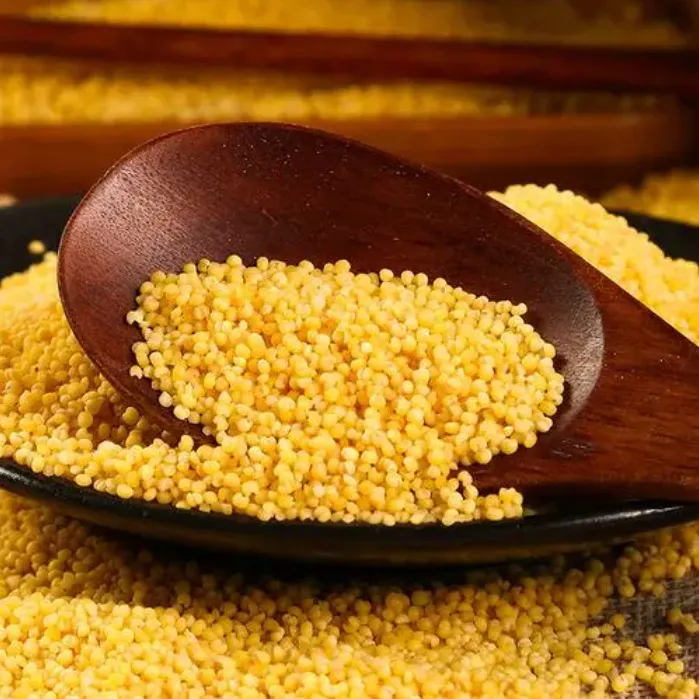 兔啦啦米脂油小米 2025新米 月子米粥米 宝宝辅食五谷杂粮香糯粘稠自产