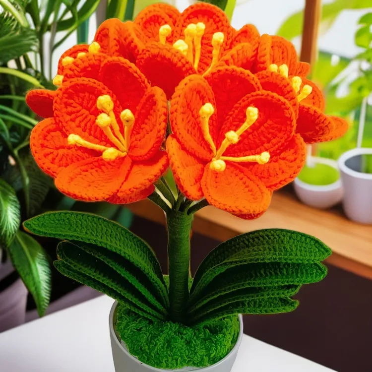 小琴家，君子兰材料包，带视频教程，不带花盆