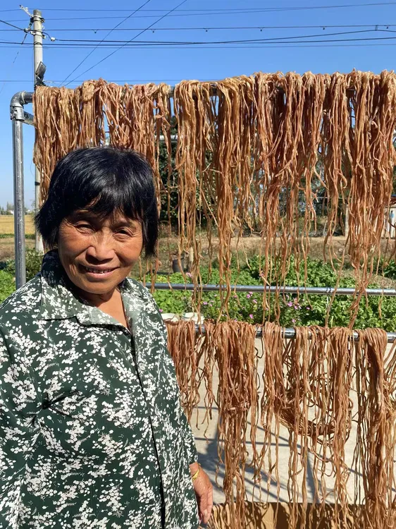 安徽特产农家咸鸭肠手工腌制
