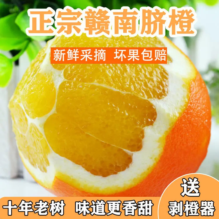 正宗江西赣南脐橙新鲜橙子当季孕妇水果高山种植甜橙现摘产地直发