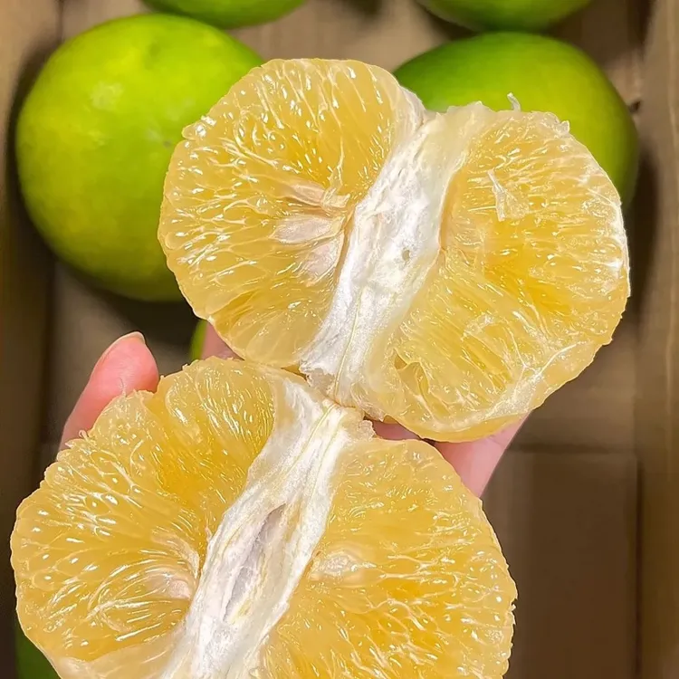 【老树果】正宗福建平和青皮翡翠葡萄柚当季新鲜现摘水果皮薄多汁