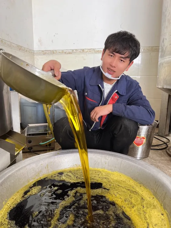 正宗云南高山菜籽油家用食用油2.5L4.5L