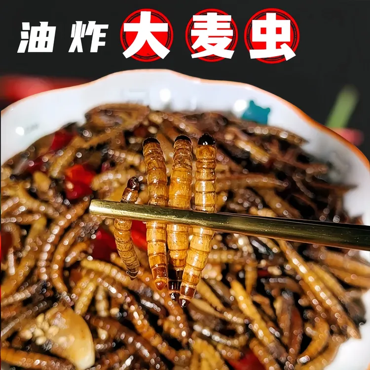 香酥大麦虫五香麻辣高蛋白养生滋补佳品健康昆虫小零食活虫现炸