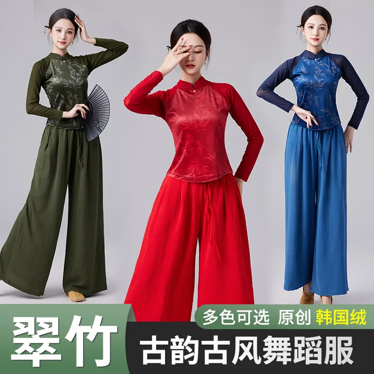 古典舞民族舞中国风练功舞蹈演出服竹叶花网纱袖立领设计民族风