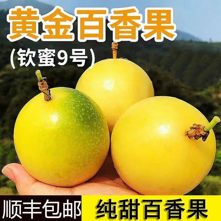 【精选果】海南百香果钦蜜9号黄金百香果现摘现发纯甜多汁产地直发