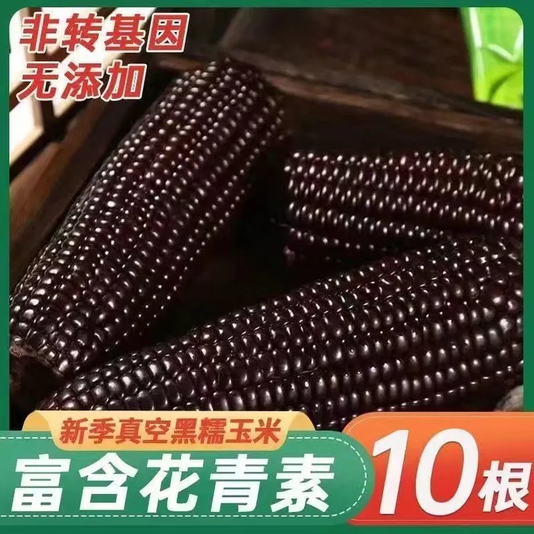 【280-350g/支】大东北新鲜黑糯玉米试吃2根一箱8+2支整箱6斤