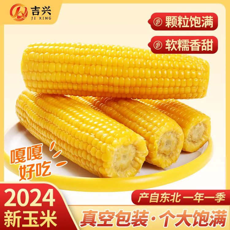 2024年新鲜采摘东北黄糯玉米软糯香甜10支整箱6.5斤