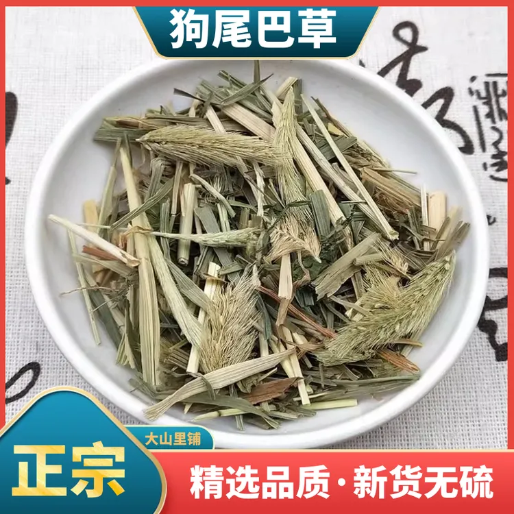 狗尾巴草新鲜干货野生毛毛虫草九尾草泡水全草切段干净另售葛根