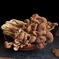 （月）初级农产品 250g 500g 、茶、树、菇