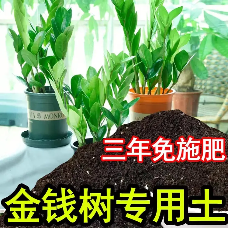 金钱树专用土种植土营养土家用盆栽室内绿植酸性花卉土壤有机肥料