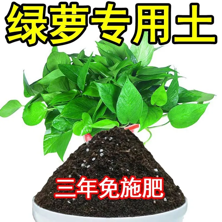 绿萝专用土盆栽土通用营养土种植土客厅室内种花土酸性土有机肥料