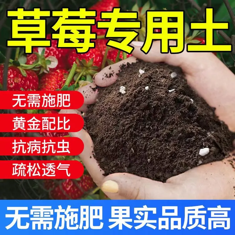草莓营养土种植土盆栽土育苗土种花养花土阳台种菜土草莓有机肥料