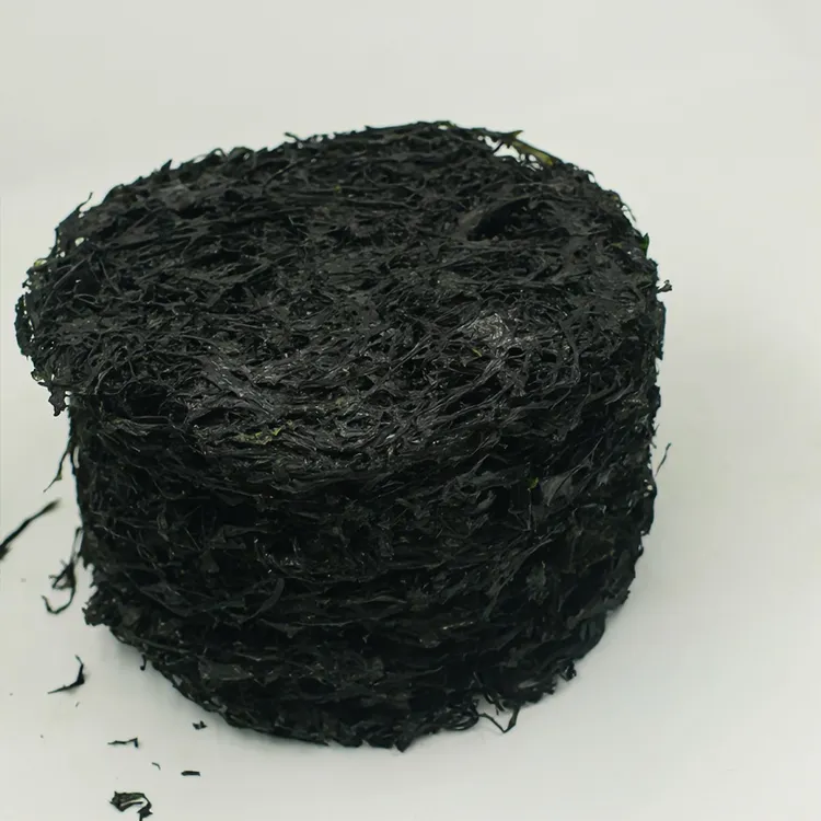 福建东山岛特产干货紫菜无沙无杂质免洗免泡煮汤做煲老少皆宜