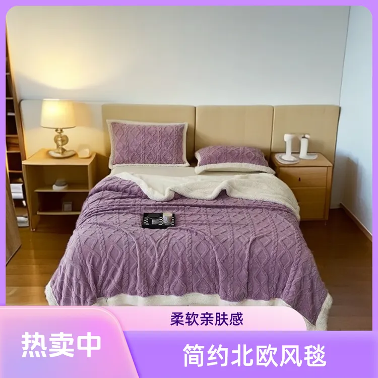 简约双层加厚塔芙绒羊羔绒毯北欧风午休毯空调毯四季通用柔软舒适