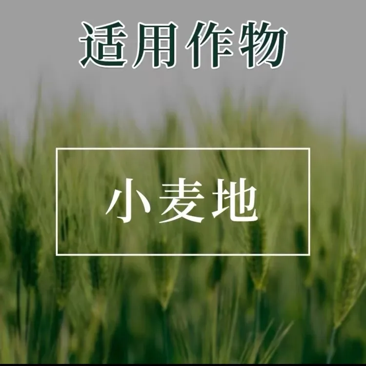 小麦六种成分拌种包衣营养增产组合