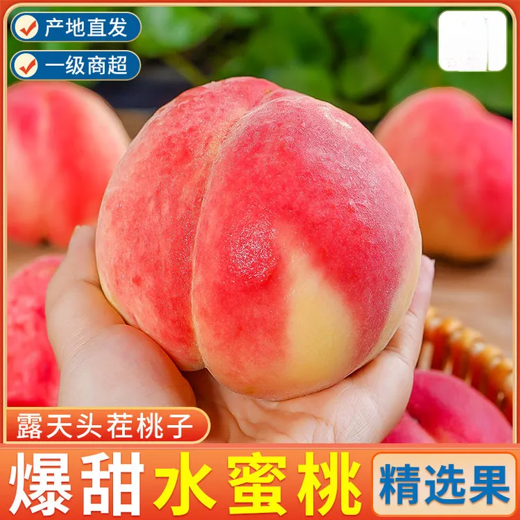 【发货快】新鲜水蜜桃现摘甜毛脆桃子孕妇时令当季水果一整箱包邮