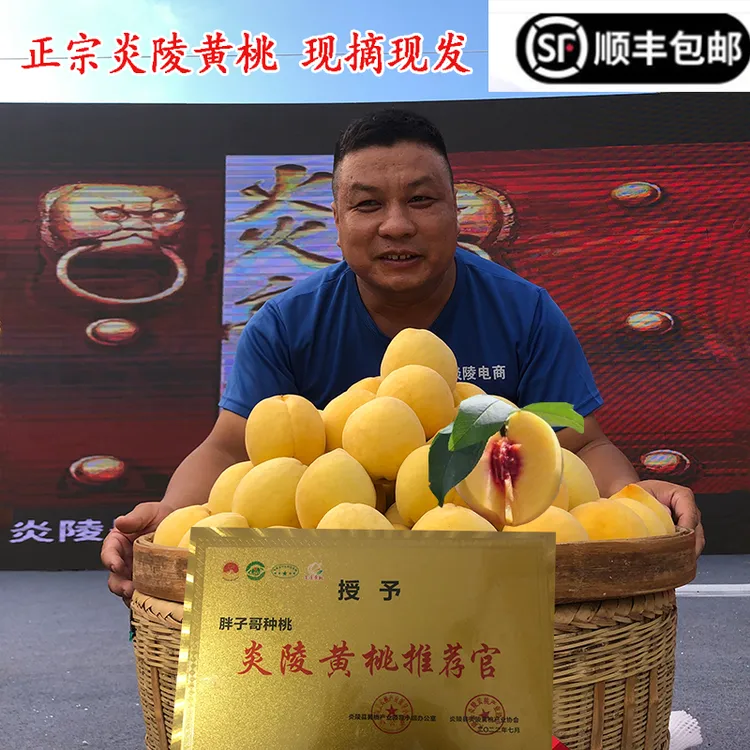 优质正宗炎陵黄桃5斤10斤顺丰新鲜桃子当季水果精品红心黄桃特产