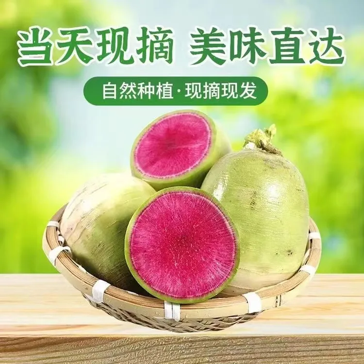 心里美皮薄新鲜绿萝卜红心皮薄大萝卜现挖冰糖萝卜生吃甜脆水果型