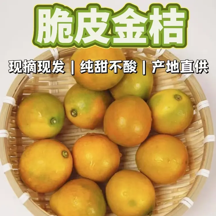 广西脆皮金桔蜜甜纯甜小金桔脆甜金柑桔子橘子冰糖心现摘应季水果