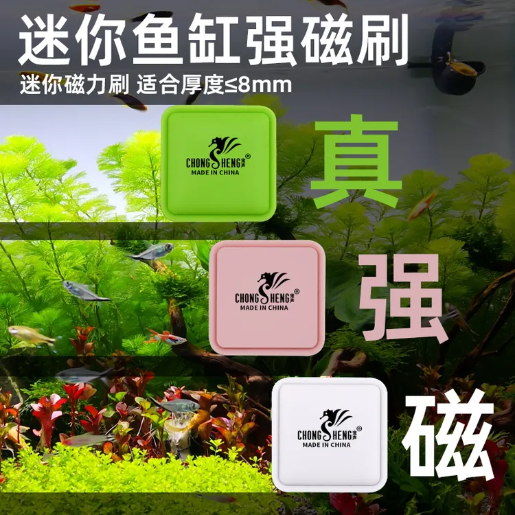 强磁鱼缸刷迷你强力磁力刷小型干净擦玻璃清洗无死角清洁除藻神器