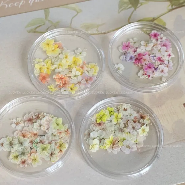 迷你纯手工美甲彩色干花饰品 ins日式干燥花 DIY材料指甲饰品装饰