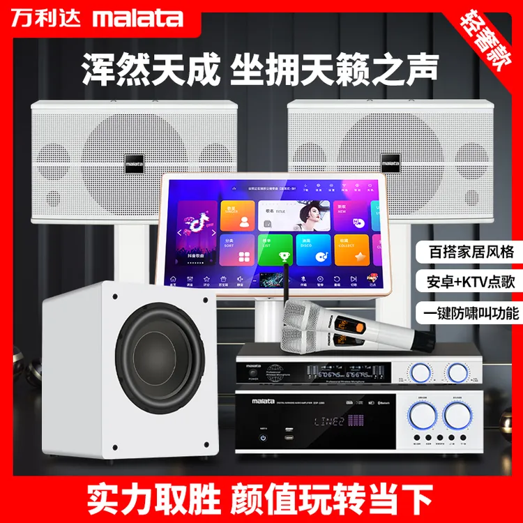 M+K10家庭ktv音响套装卡包音箱大功率重低音舞台轻奢百搭语音k歌